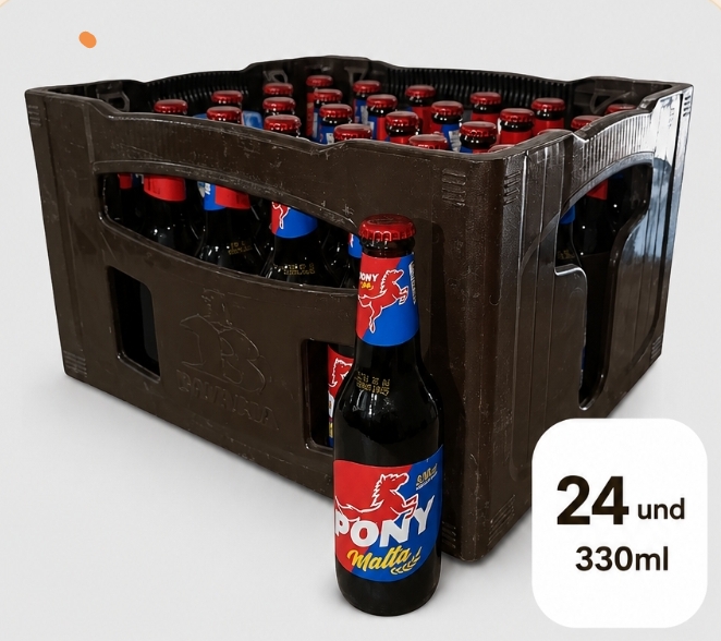 Pony Malta Retornable x 30 und